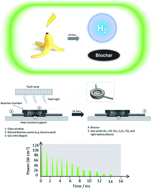 Biomass splitting with flash light irradiation